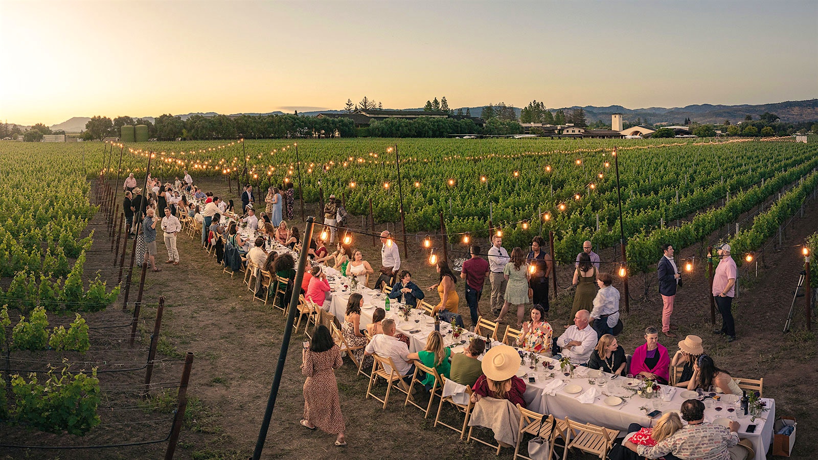 People enjoy a dinner at a long table in the middle of To Kalon vineyard.